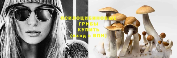 дживик Михайловка