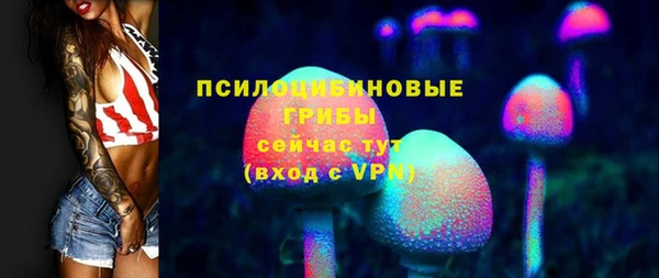амф Михайловск