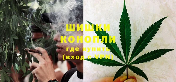 амф Михайловск