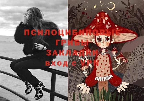 дурь Михайлов