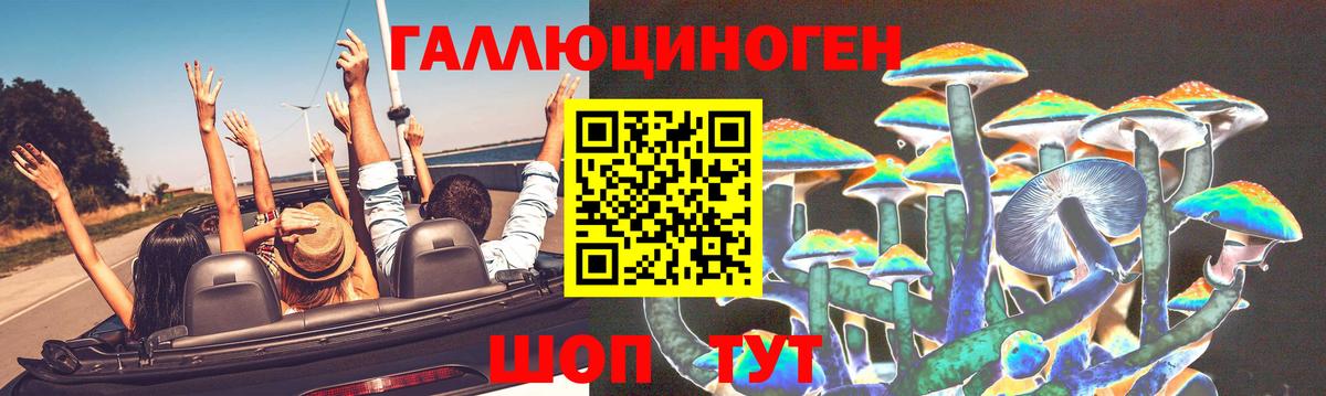 Псилоцибиновые грибы GOLDEN TEACHER Керчь