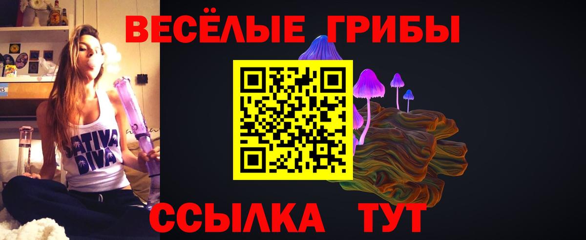 Псилоцибиновые грибы Psilocybe  Вход с VPN  Керчь  Псилоцибиновые грибы мицелий 